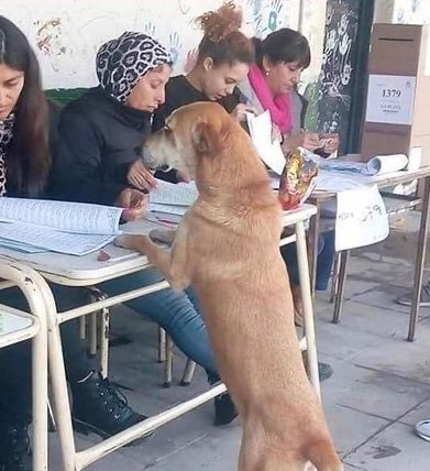 Cómo que no estoy,fíjate bien!
Almeida,Christian