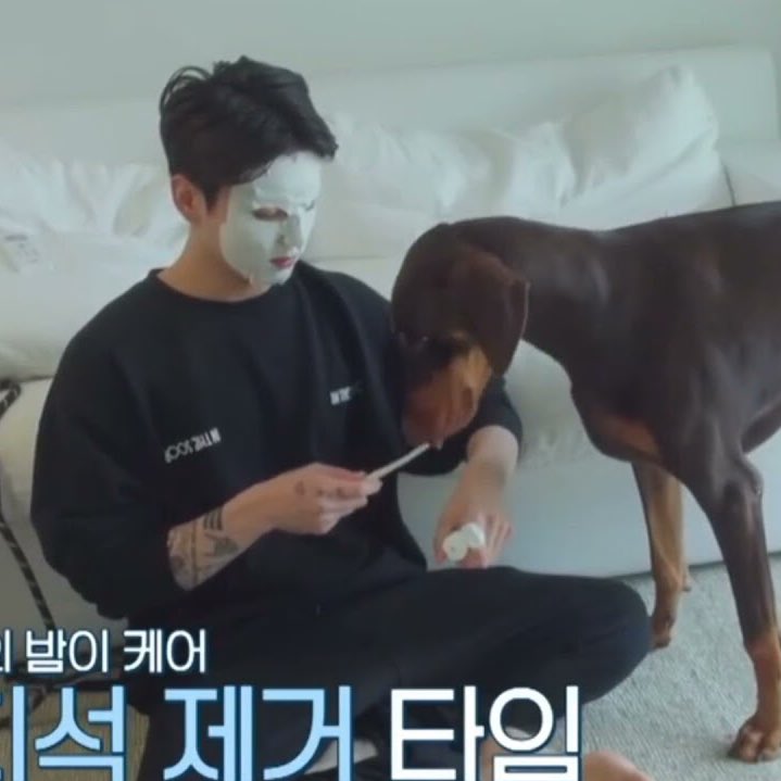 randomjungkook's tweet image. jungkook brushing bam’s teeth with face mask on
