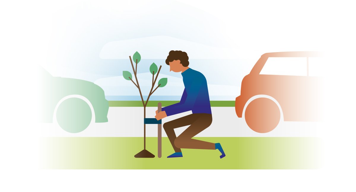 We zijn ontzettend blij dat we 10 miljoen bomen in Nederland kunnen gaan planten. Flevoland heeft de uitdaging 500.000 bomen te planten. Daar hebben we iedereen bij nodig! Ook jij kunt helpen om je eigen omgeving groener en gezonder te maken.
mooiflevoland.nl/activity/plant…