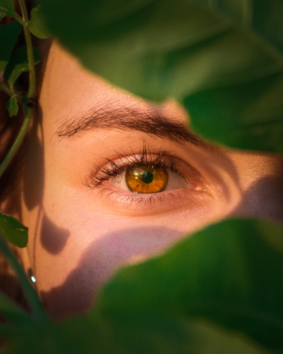 thesneakylens tweet media