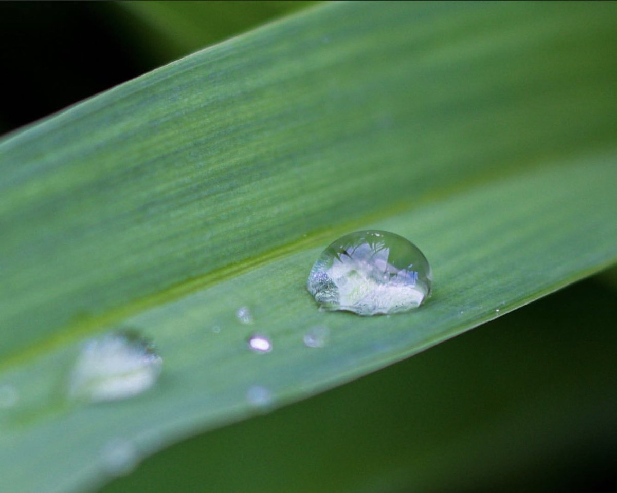 thesneakylens tweet media