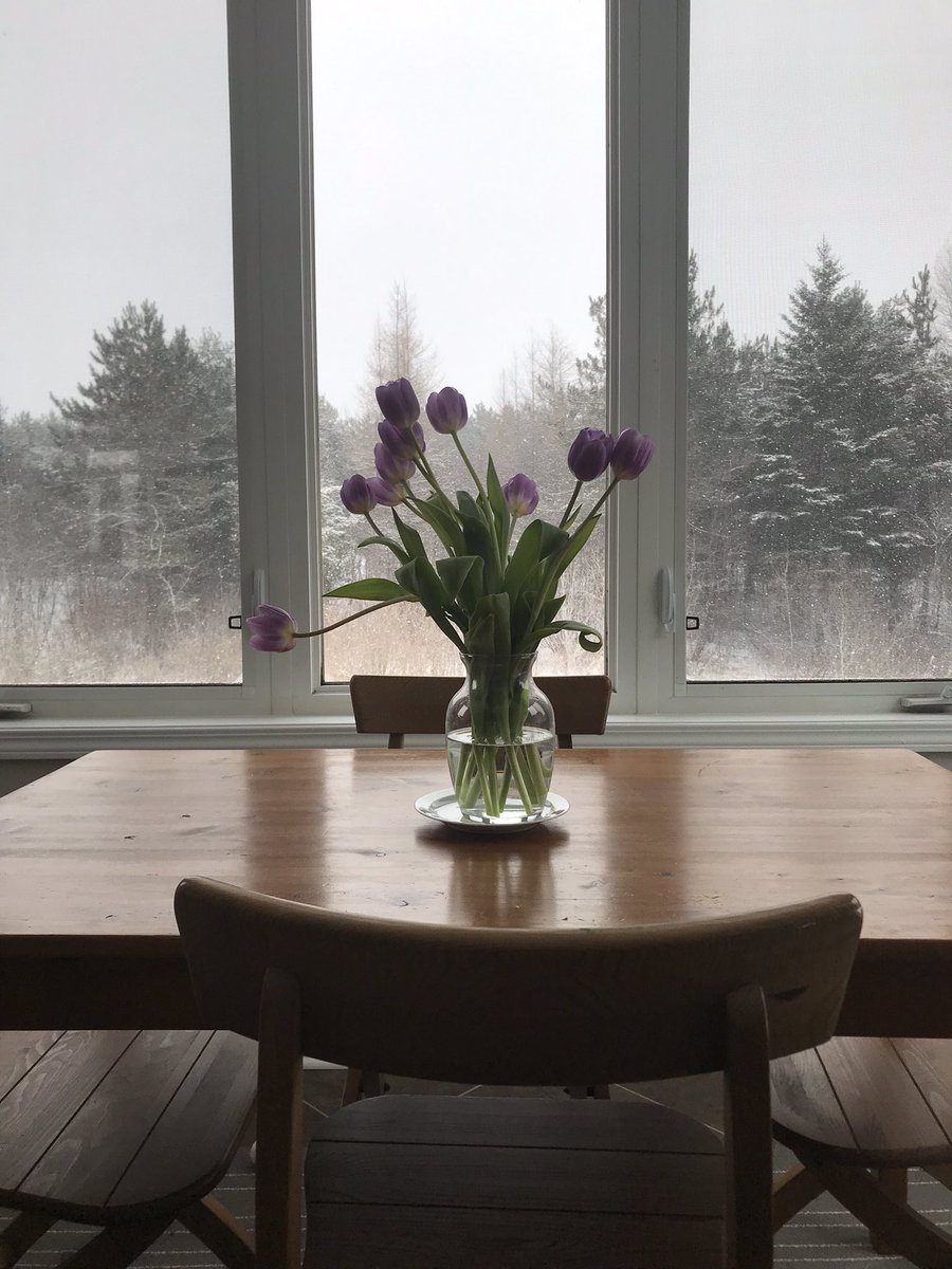 tajaunzems's tweet photo. Kitchen table tulips #snowyspring https://t.co/8poYS2yQmB