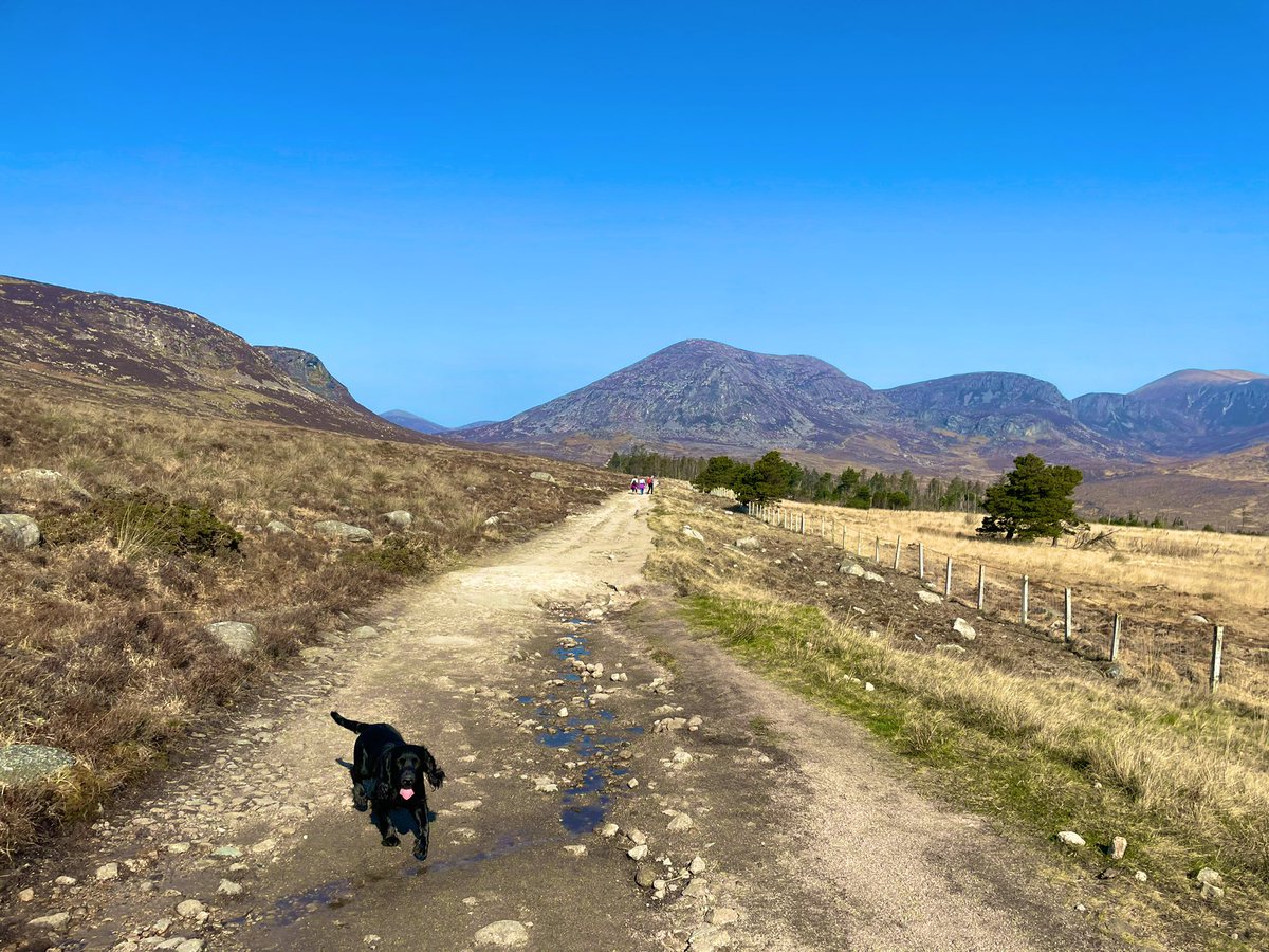 mckee1690's tweet photo. It’s A Shame Not To Use It When It’s On Your Doorstep ⛰☀️

#SlieveBinnian #BlueLough #MourneMountains #NorthernIreland #ProudOfNI https://t.co/KMswA6wNmR