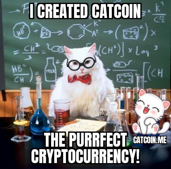 catcoinshop's tweet photo. MEOW! Are you ready?
#Catcoin next steps will drive us to the next level and opens our way to conquer #crypto world!
Catcoin is the real future of CRYPTO! 😻🚀🌙
Read why:🙀
https://t.co/yVC5XFiRcN

Buy now:😻
https://t.co/vaLgDHKMNx

MEOW + COMMENT #CATCOIN, RT + ❤️!!! 😻😻😻 https://t.co/WIHajfsLJn