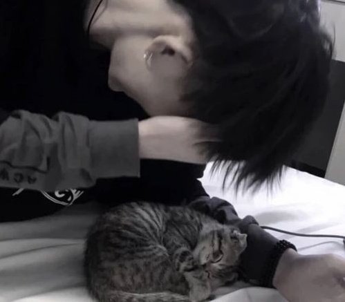 โซ.|rest tweet media