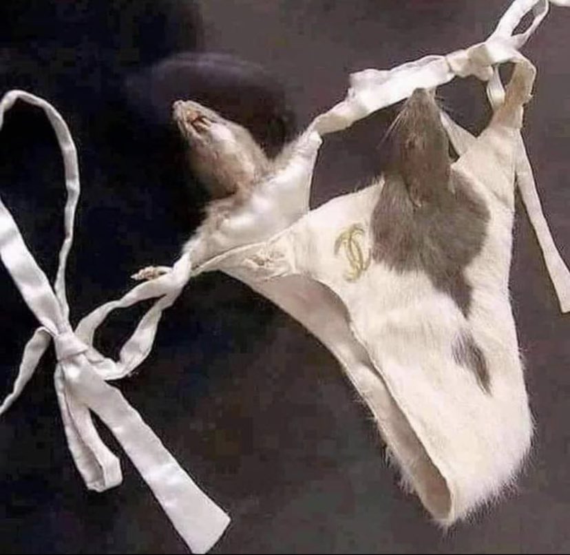 Channel brand -ийн 100% арьсан бандааш үнэ тохиролцож зарна. Бартер сонирхоно.