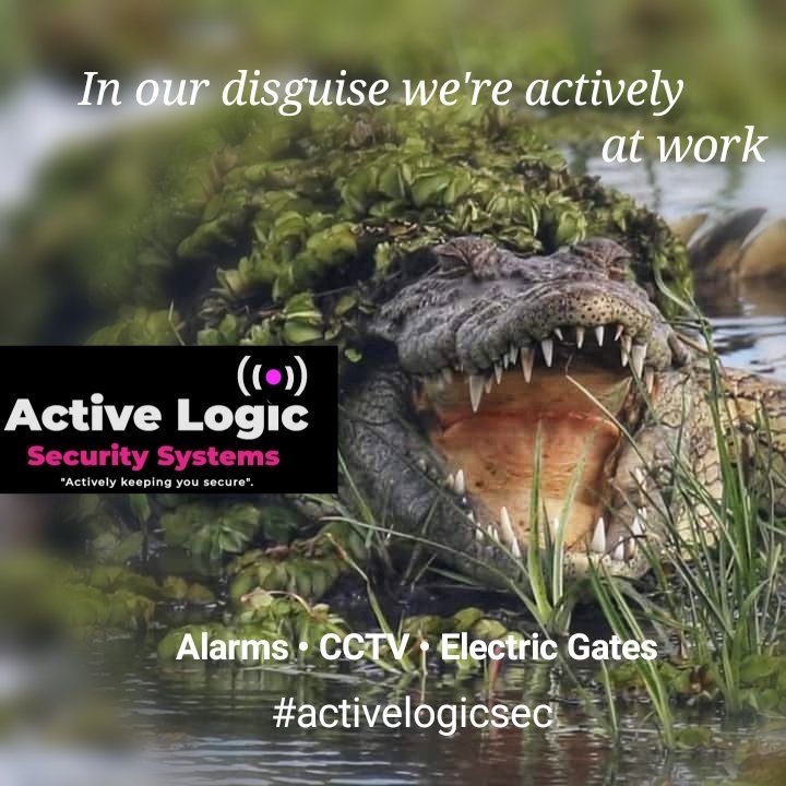 ActiveLogicSec's tweet photo. #activelogicsec #redmarketsunday  @redmarketsunday @iMisred https://t.co/9hpvUhZFk4