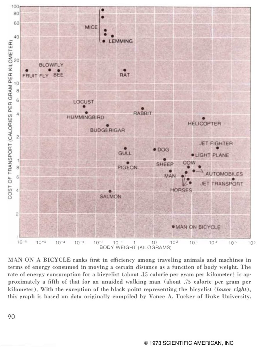 ραмρα 🌻 tweet media