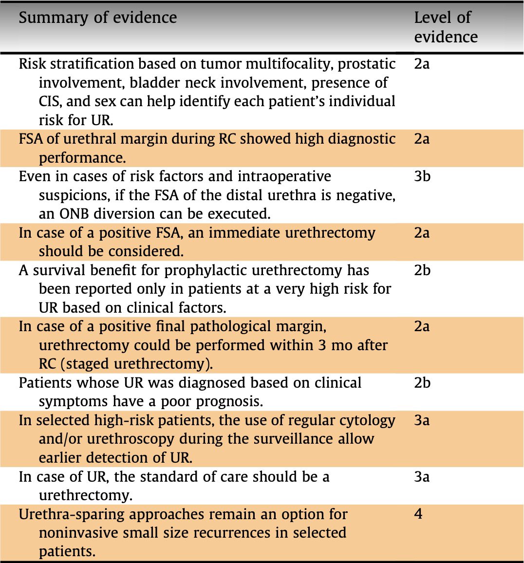 BenjaminPradere's tweet image. Great project we commonly achieved with @EAU_YAUrotheli &amp;amp; #ESOU nicely realized with  @E_Laukhtina 
🆕 step to cover Urethral Recurrence after RC and help clinicians to manage the urethra in BCa!
⏭ step: improve standardization with expert consensus! 
shorturl.at/coLO8