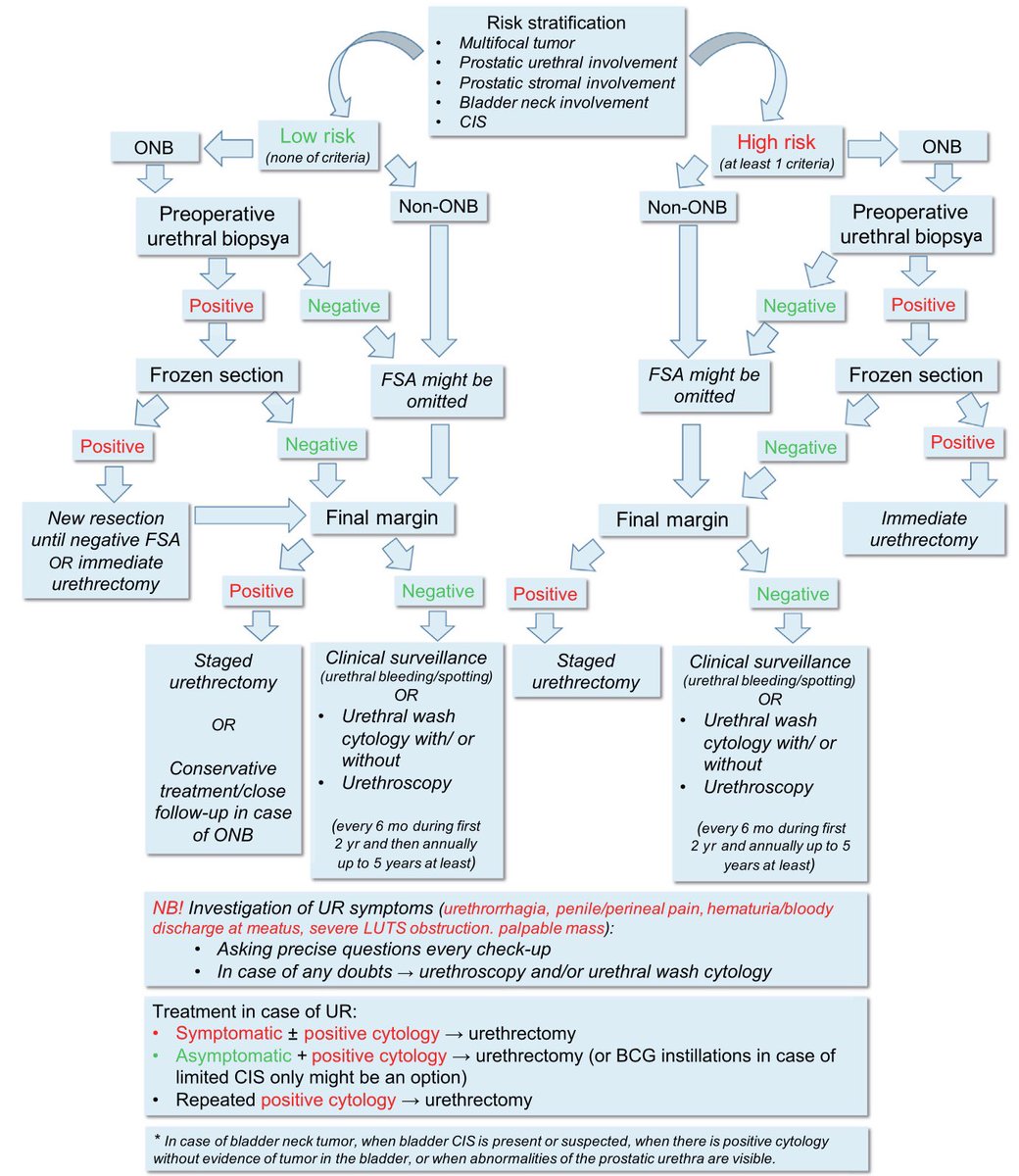 BenjaminPradere's tweet image. Great project we commonly achieved with @EAU_YAUrotheli &amp;amp; #ESOU nicely realized with  @E_Laukhtina 
🆕 step to cover Urethral Recurrence after RC and help clinicians to manage the urethra in BCa!
⏭ step: improve standardization with expert consensus! 
shorturl.at/coLO8