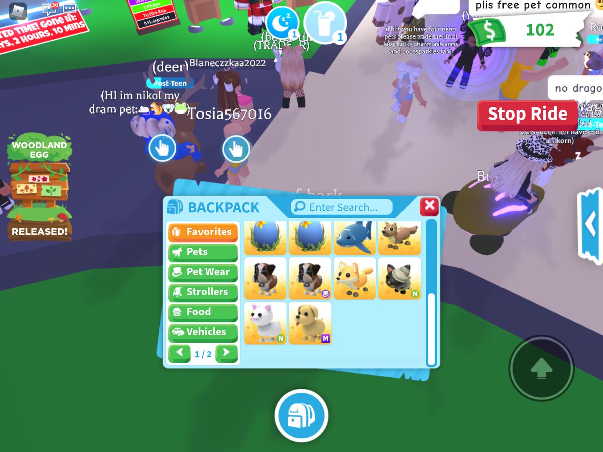 iamaloser_0's tweet photo. Trading these for blue dogs or neon blue dogs 👀 #adoptme #Adoptmetrades #adoptmeoffers #adoptmeoffering https://t.co/qsVsGHT3lp