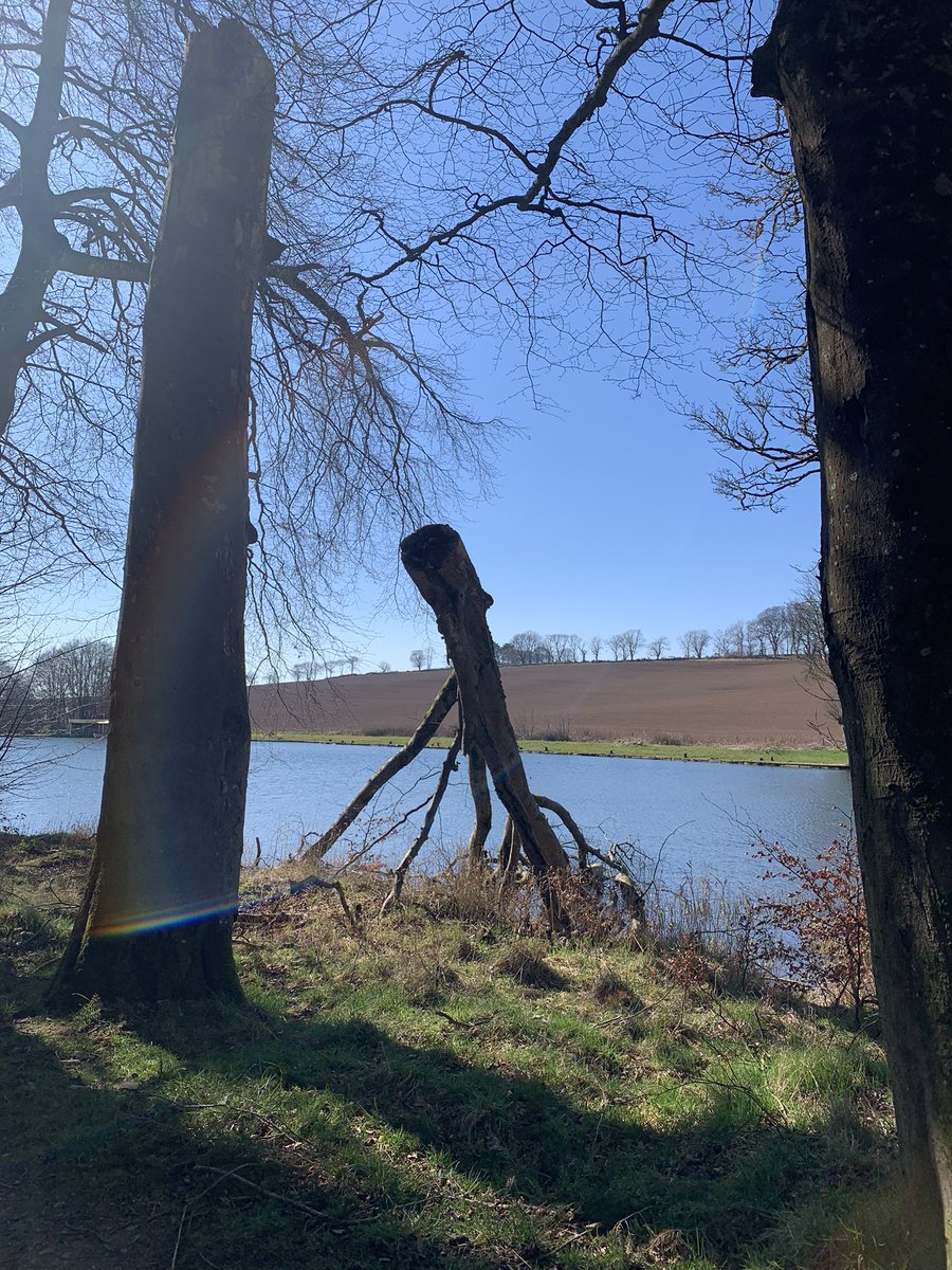 Stickman having a rest beside the lake according to my granddaughter 💚🌲#nature #NatureForEveryone #forestwalks #stickman