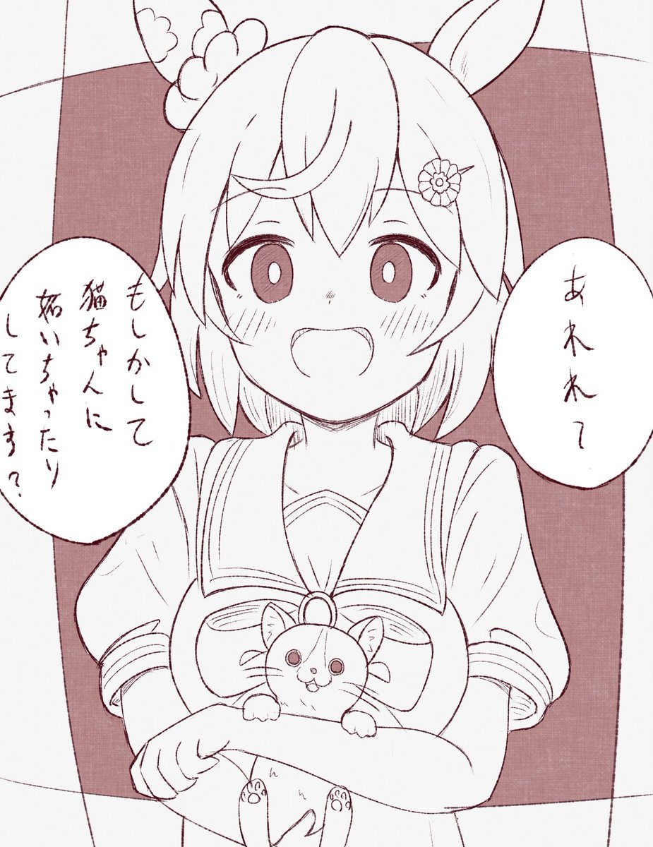 ネコの検定なるものを受けてみた記念にセイちゃん☁️ 