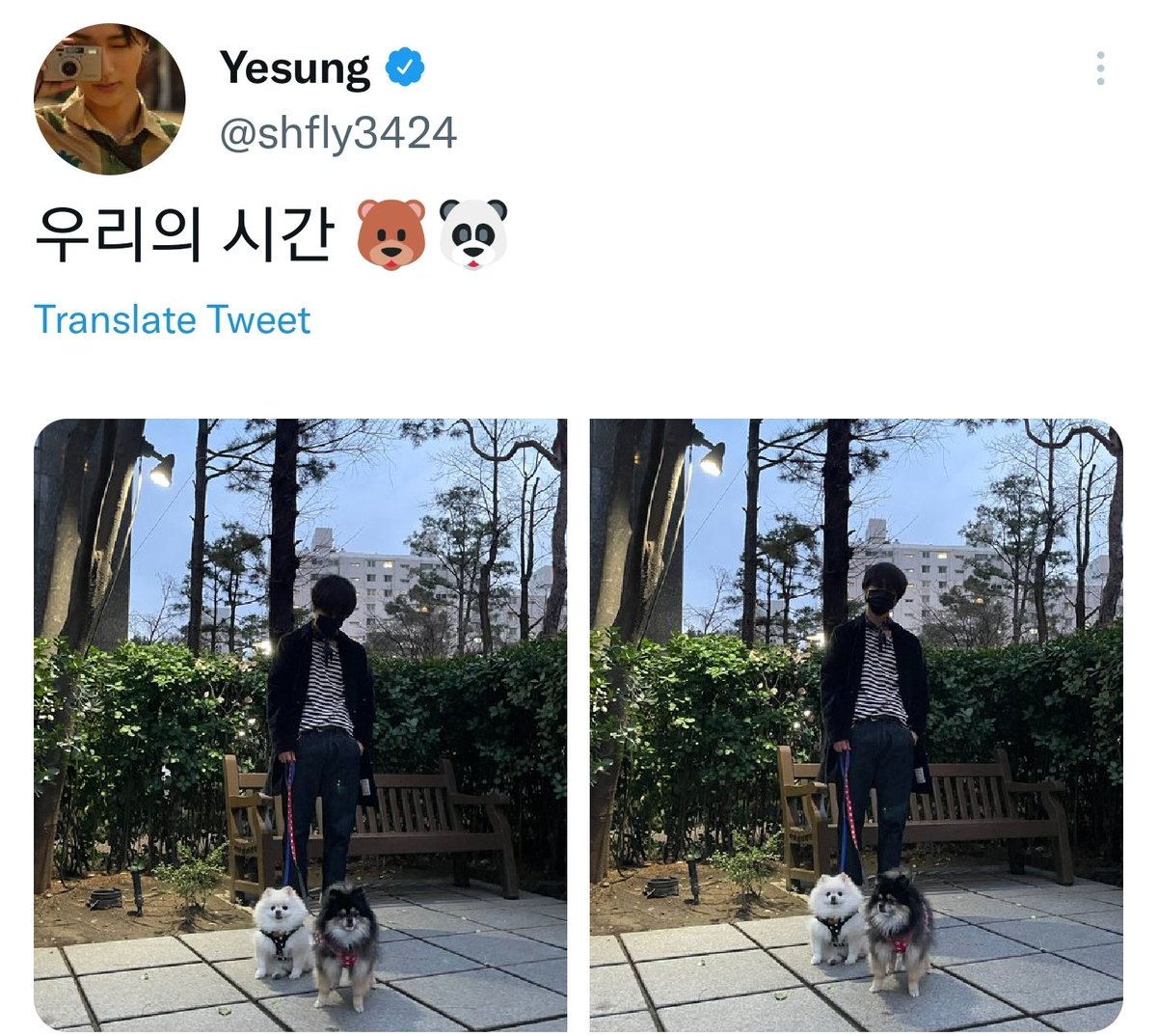 Sujuwings_'s tweet photo. 220327[TW/IG/FB/WB] ييسونغ:
وقتنا 🐶🐼
@SJofficial https://t.co/4ZzMhvifgv