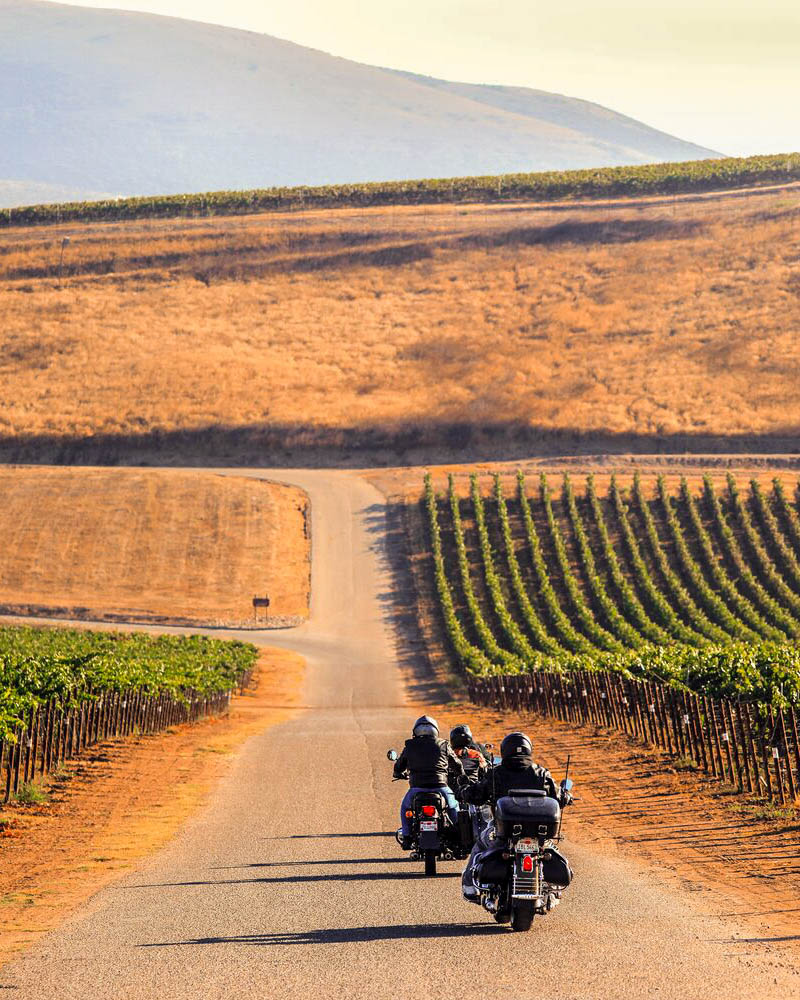 VisitSMV's tweet photo. Add some meat to that potato, potato, potato. ๐ฅ ๐๏ธ Hop on your bike and enjoy a smooth ride through #SantaMariaValley to one of our steakhouses. Choose from one of these motorcycle itineraries: https://t.co/Mgg3qjjcfI
#VisitSantaMariaValley #ThingsToDoInCalifornia https://t.co/JoP5PcHASV