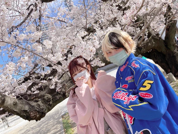 名古屋の桜見れて嬉しいぺろりと 