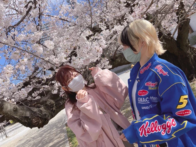 名古屋の桜見れて嬉しいぺろりと 