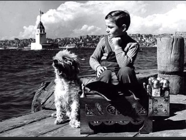 Yalnızlık paylaşılır.1960 yılı ,İstanbul’un kalbinde iki yalnız.🌿🌻
