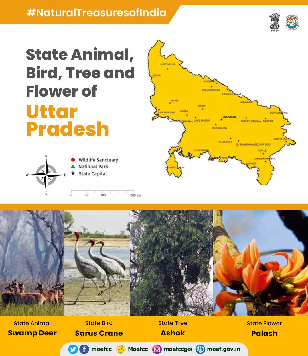 MoEF&CC on Twitter: MoEF&CC on Twitter: