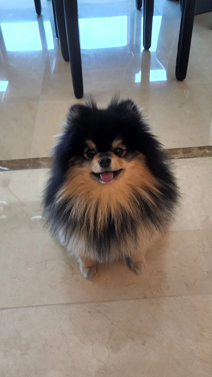 btsinthemoment's tweet image. [thv] instagram story