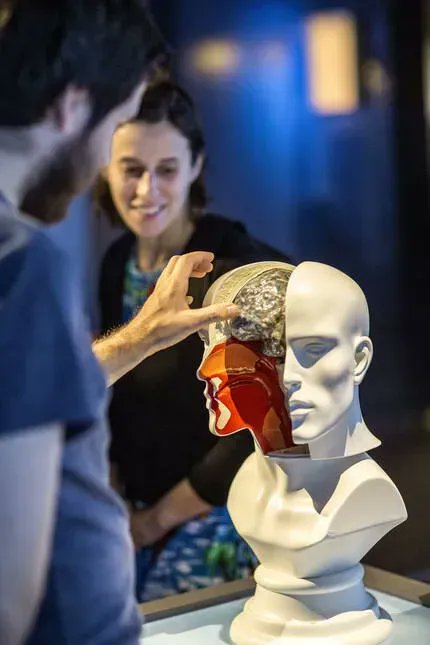 universcience's tweet photo. La @citedessciences invite ses visiteurs avec autisme et leurs accompagnateurs à participer à une journée inédite le 2 avril 
Le programme est ici https://t.co/f079vQpr8k, proposant des conditions de visite améliorées et des animations adaptées.
 
#Handicap #autisme https://t.co/TflXJxQP6C