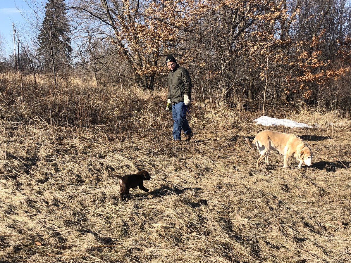 Our new pup Raina makes her “off-road” debut. Jasper didn’t seem too impressed.