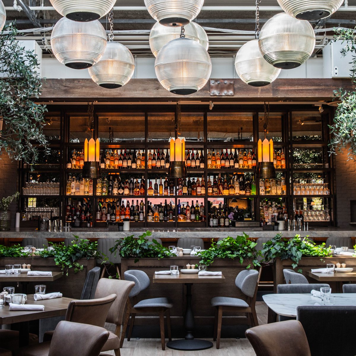 ChooseChicago's tweet image. Want to eat incredible food AND help the planet? 🍽️🌎 

During #ChicagoRestaurantWeek, support these 35+ restaurants that have joined the @shedd_aquarium's "Let's Shedd Plastic" movement: bit.ly/3DdLQnd

📸: Jeff Marini for Aba, a #LetsSheddPlastic participant