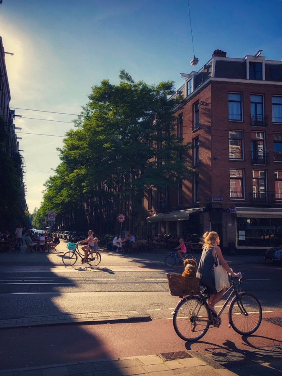 dirkjanjanssen's tweet photo. Una de las soluciones más eficaces para algunos de los desafíos urbanos más complejos del mundo es un humilde invento de hace 200 años. https://t.co/nEAgppxFNd