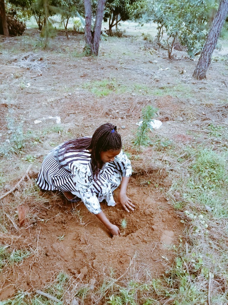 ha_foundationtz's tweet photo. Without a healthy planet, there isn't a healthy anything... lets make our country Green.
@GEOfunders @ItalyinTanzania @EAT202 https://t.co/oXUKkXWaAf
