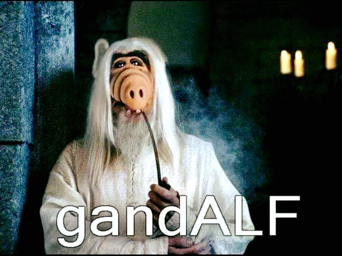 ShaneWhitfiel10's tweet photo. 😆 https://t.co/Xf7S6EF3c5