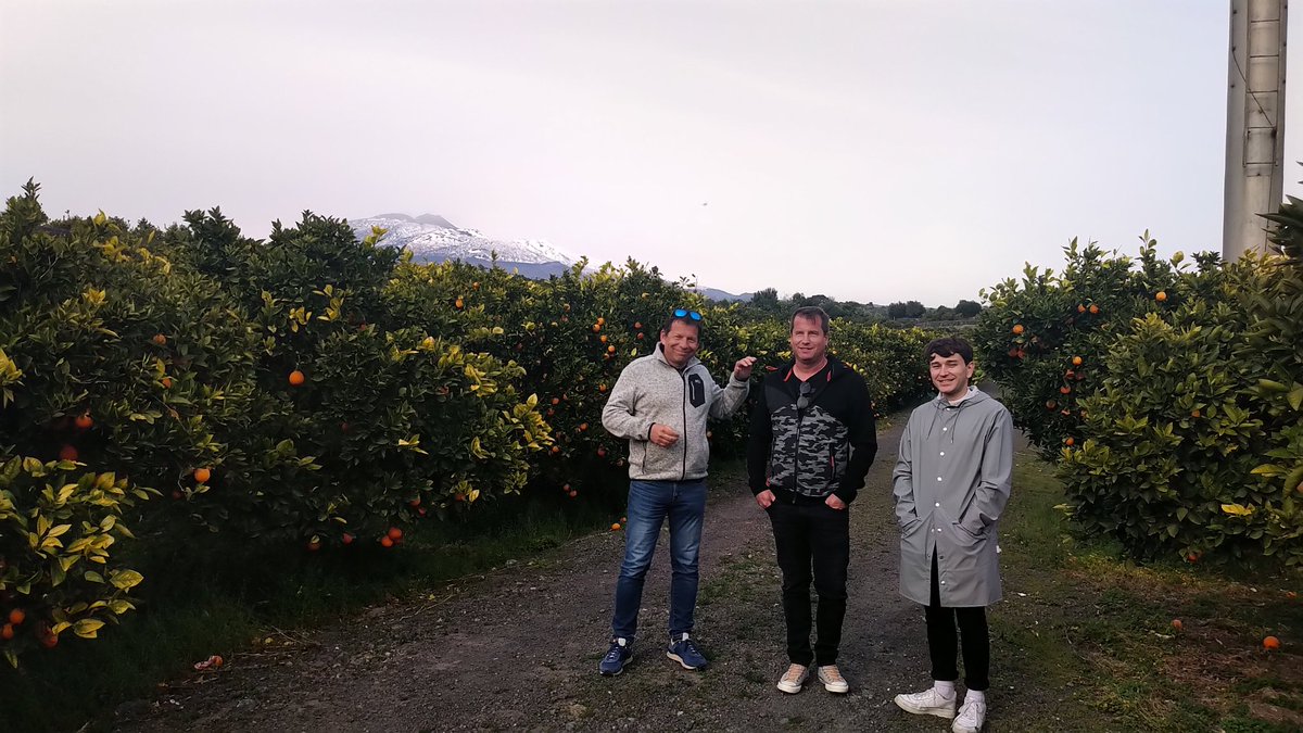 ElenaEAlbertini's tweet photo. 🍊Produzioni di #Agrumi #IGP🍊
Isole a confronto #Sicilia e #Corsica 
🎯Prospettive di sviluppo con l'#Obiettivo di valorizzare e rafforzare la filiera agrumicola.
🌋visita nell'areale di produzione dell'#AranciaRossaIgp 

#Citrus #Cooperation #Clementine #Corse https://t.co/pUpUoK6HT7