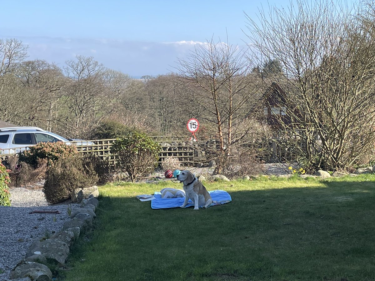 It’s nice to be out in the garden again