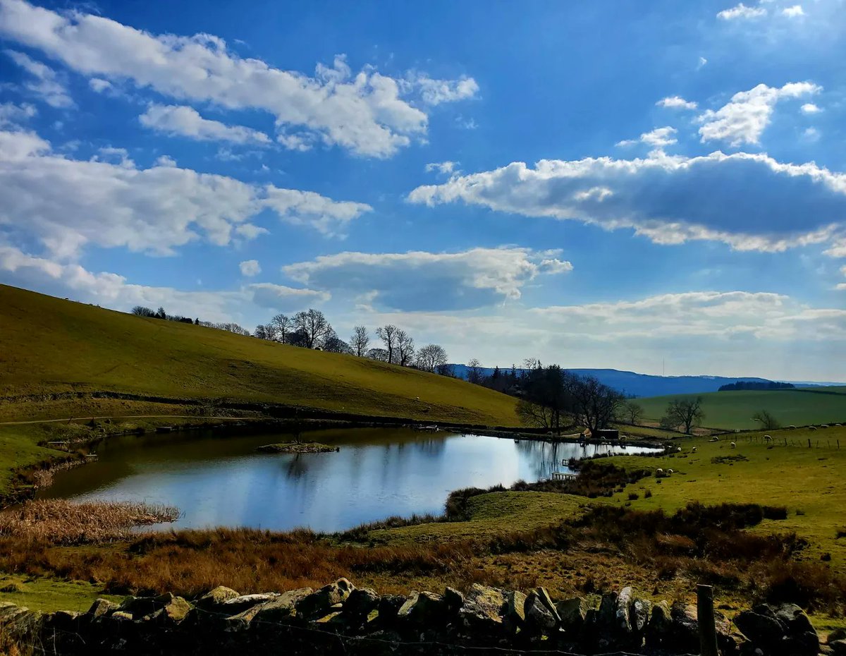 blonde_on_bikes's tweet photo. Mountain bike Sunday #scottishborders #sundaymtb #melrosepaths #mtblove #lovewhrreyoulive https://t.co/Tf4CT0s9Zy