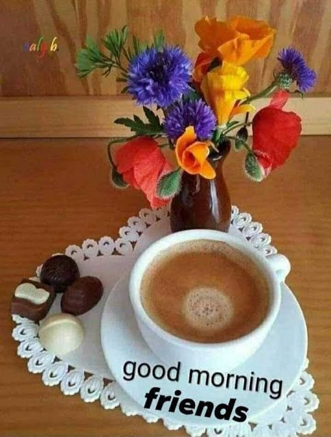 American Patriot tweet media