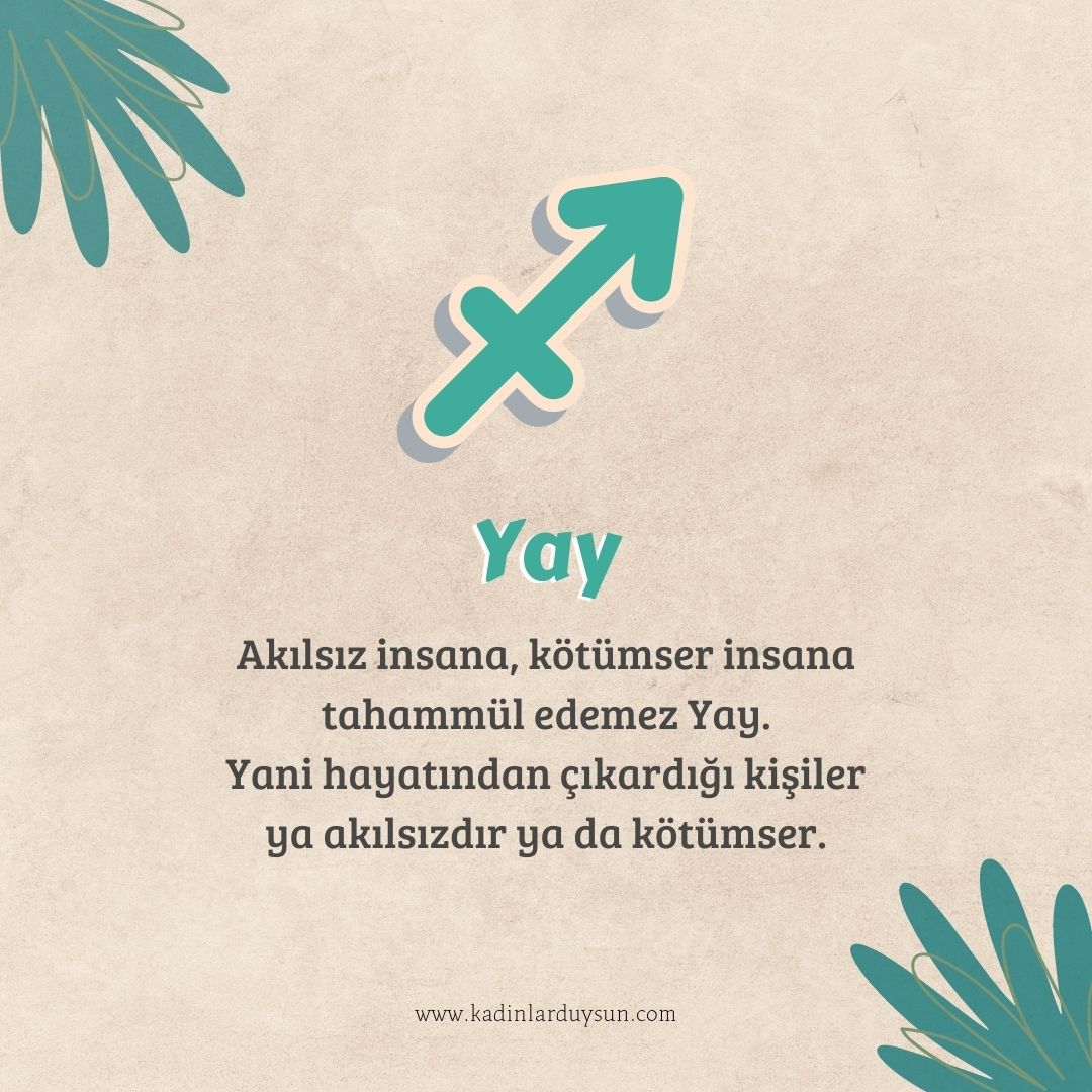 Yay Burcu (@yayburclari) on Twitter photo 