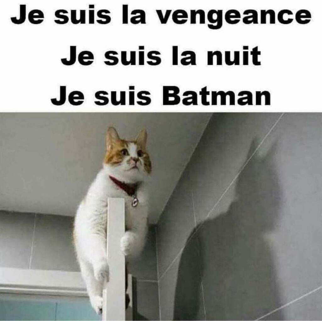 De Geek à Geeks tweet media