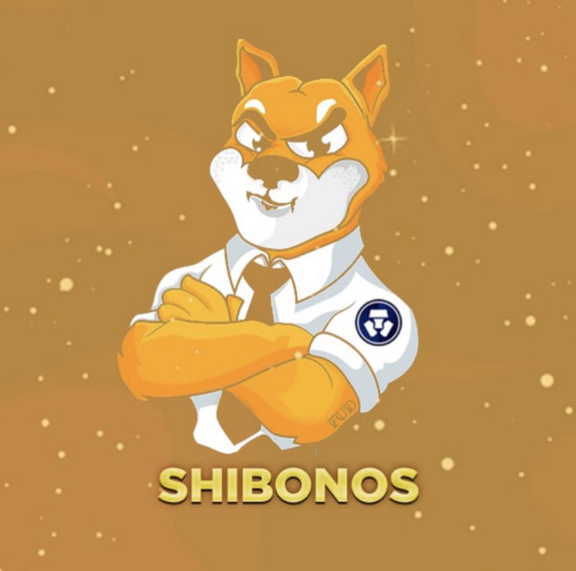 Whosurmaster's tweet photo. @MMFcrypto @shibonos Listing soon getting close to that 50k liquidity mark !!! https://t.co/2unfRGvsch