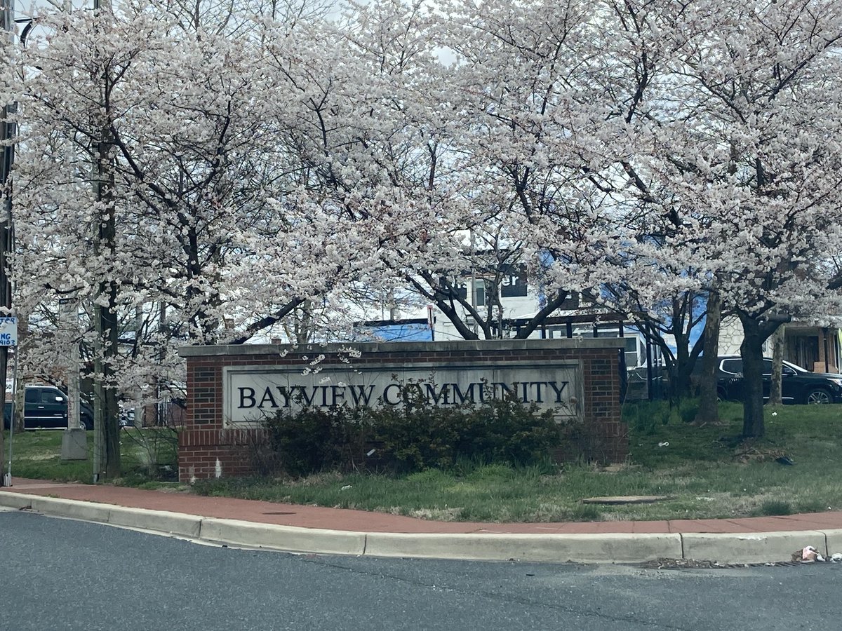 marklieber's tweet photo. #BayviewLove ⁦@BayviewMedicine⁩ https://t.co/F6seTwTEbY