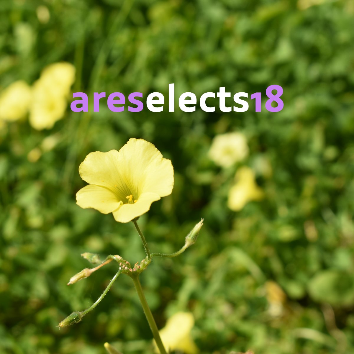 aresburas's tweet photo. areselects 17-20 @rodonfm (Mar 2016) 📻
⚓️ https://t.co/XXmXQIHE4D
#areselects #radioshow #podcast #ondemand #rodonfm #radio #greece https://t.co/noWiE61vTz