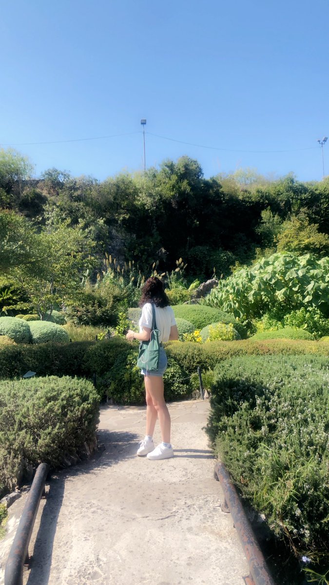 mikrotaegismos's tweet image. The prettiest view ☺️ #52days