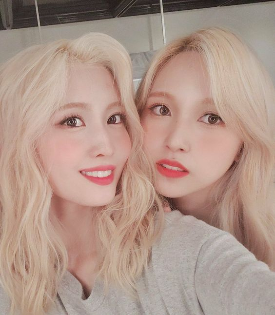 cafe4ggs's tweet photo. order: cookies and cream icecream
for: @bikwdw

from: momo and mina
message 💌: love u imi <3 https://t.co/asI4sZMlZR