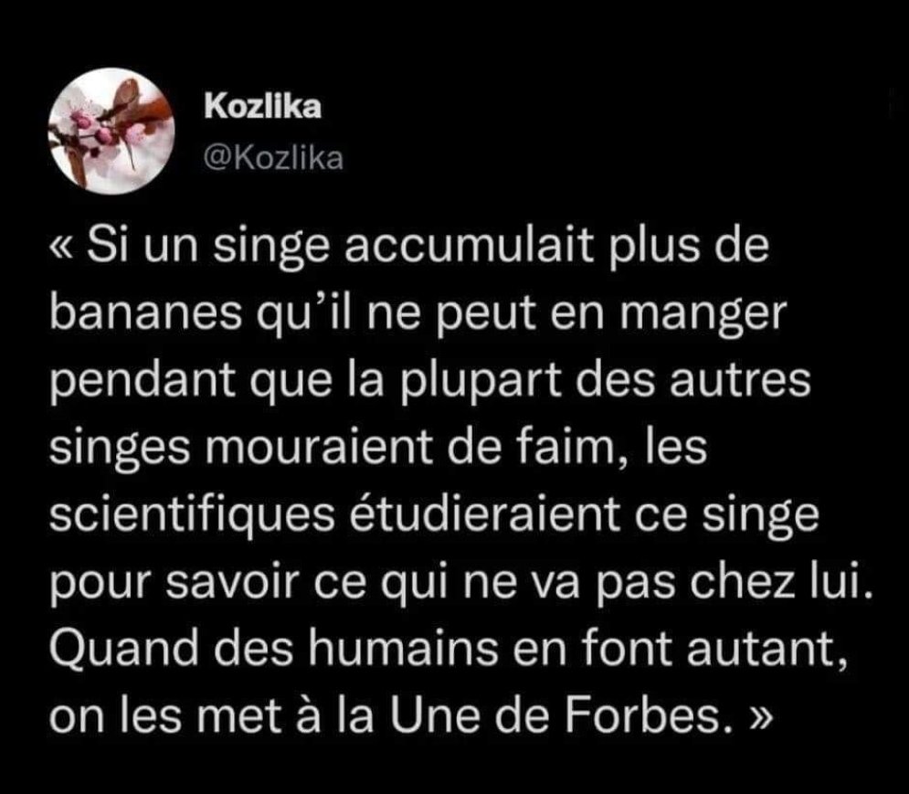 True brand 🗡 tweet media