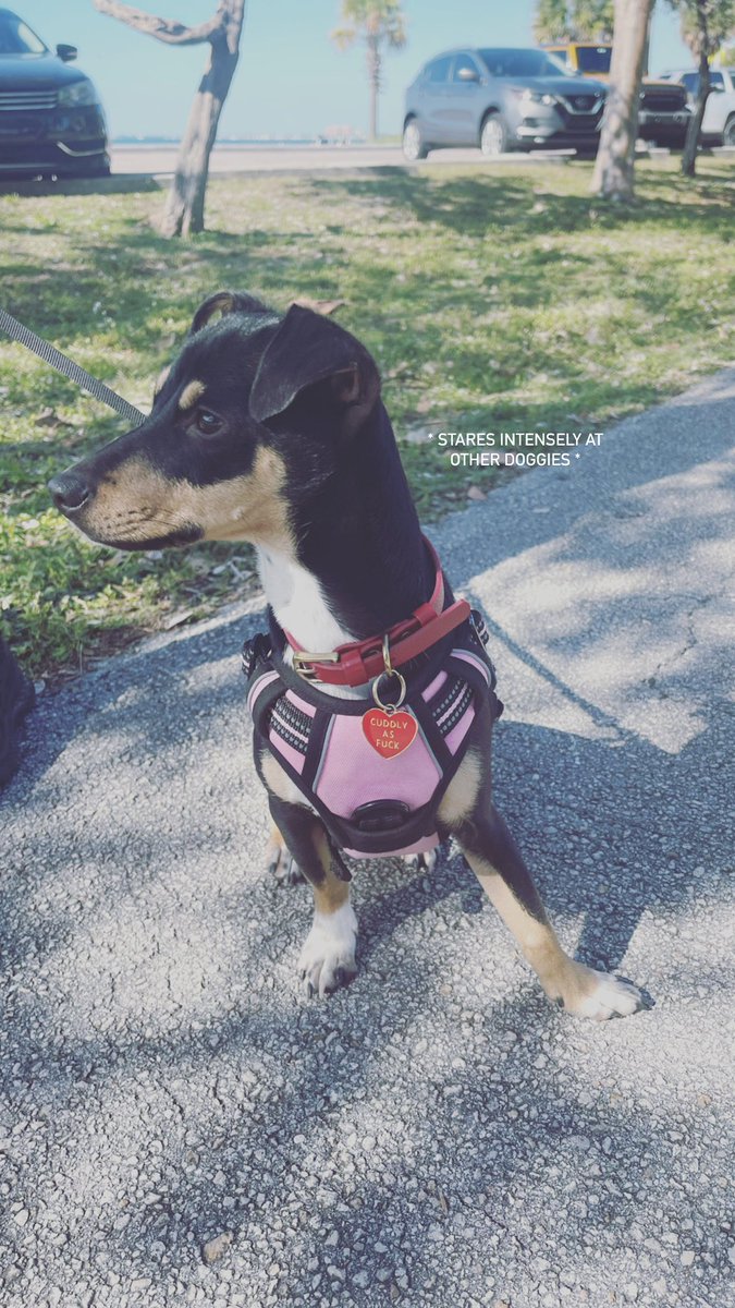 _jackieg's tweet image. 