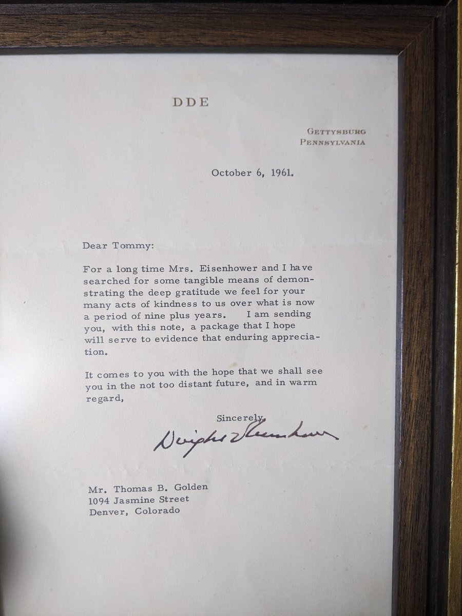 Amy Lovatt (Golden) tweet media