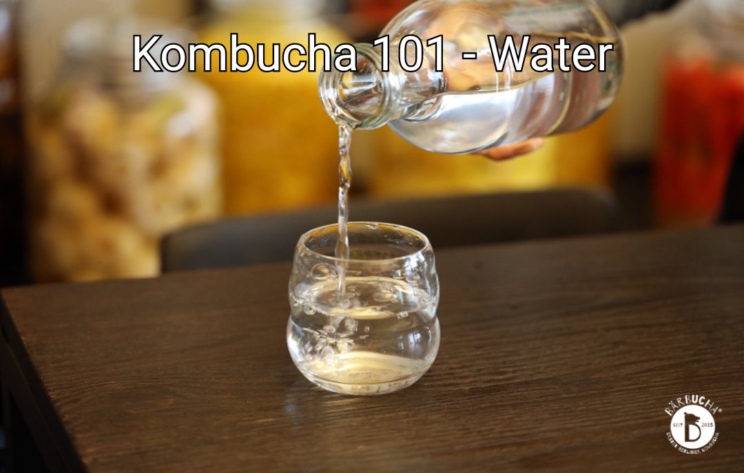 Baerbucha's tweet photo. Kombucha 101 - Water
https://t.co/ns8ImHxO5P https://t.co/QH39pXFjkx