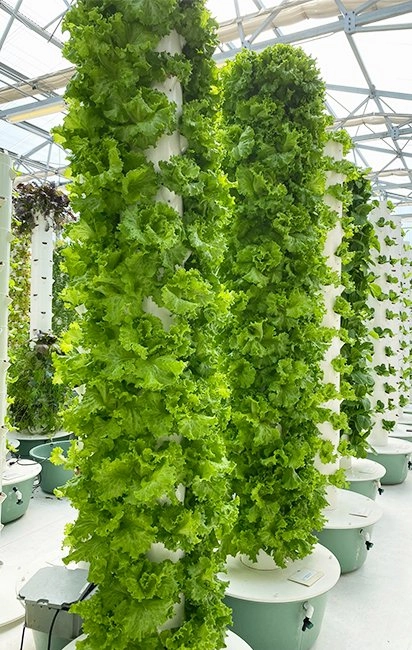 WorldlyHQ's tweet photo. Aeroponics: A Tool for Food Security. https://t.co/1jZn5E4L5d