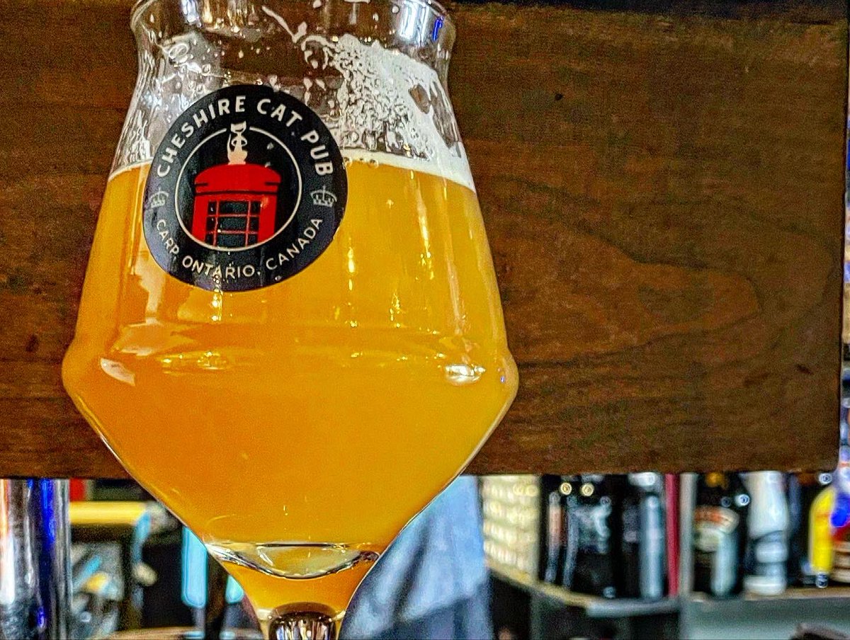 Cool day not much to do outside? Fire is burning the tap list is legit, and the specials are sooooo good.