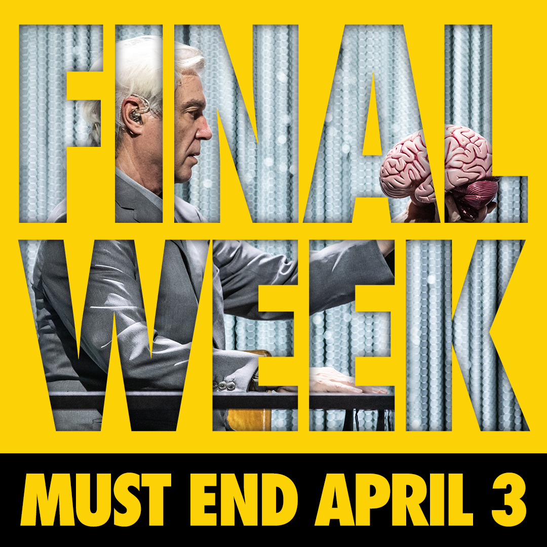 David Byrne's American Utopia on Broadway tweet media