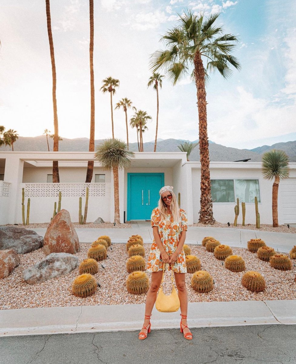 Meet us under the Palm Springs palms.🌴

Video via: <a href="/saltyluxe/">VI.Vixxen</a> 

#travelblof #travelislife #seetheworld