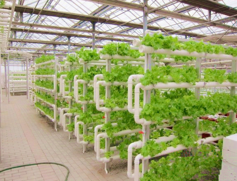 WorldlyHQ's tweet photo. Aeroponics: A Tool for Food Security. https://t.co/1jZn5E4L5d